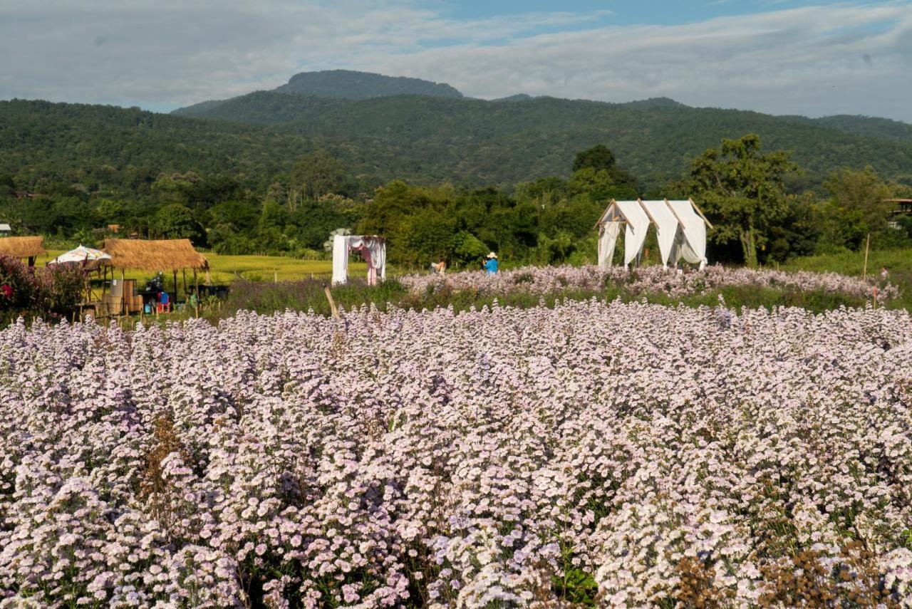 Villa Mae Rim Grace Esterno foto